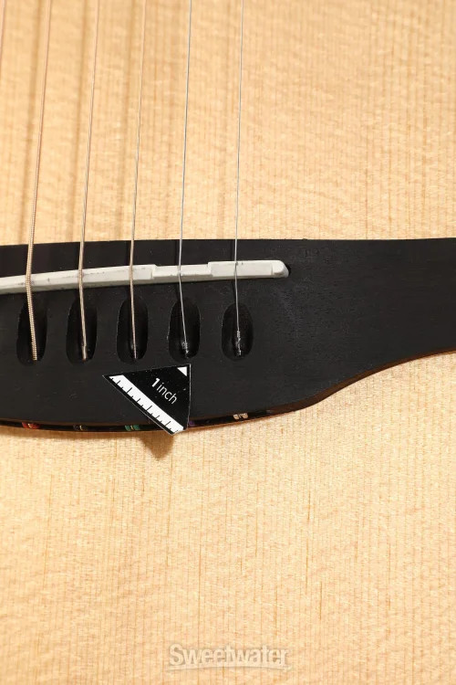 Ovation Celebrity Standard - Natural