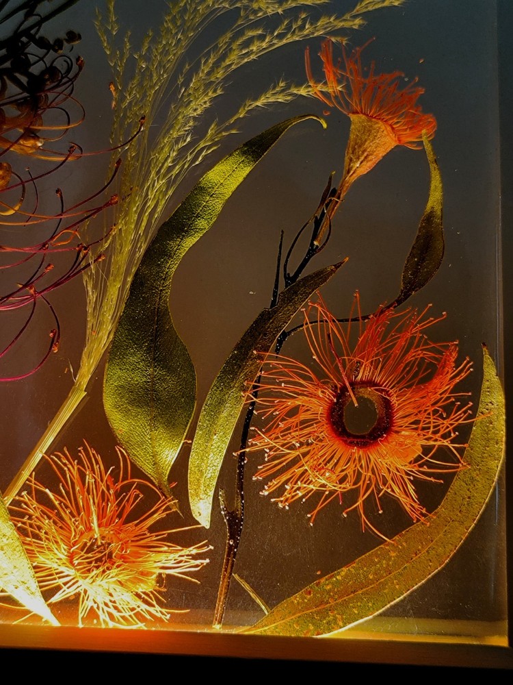 ustralia Nature Eucalyptus Flowers Night Light