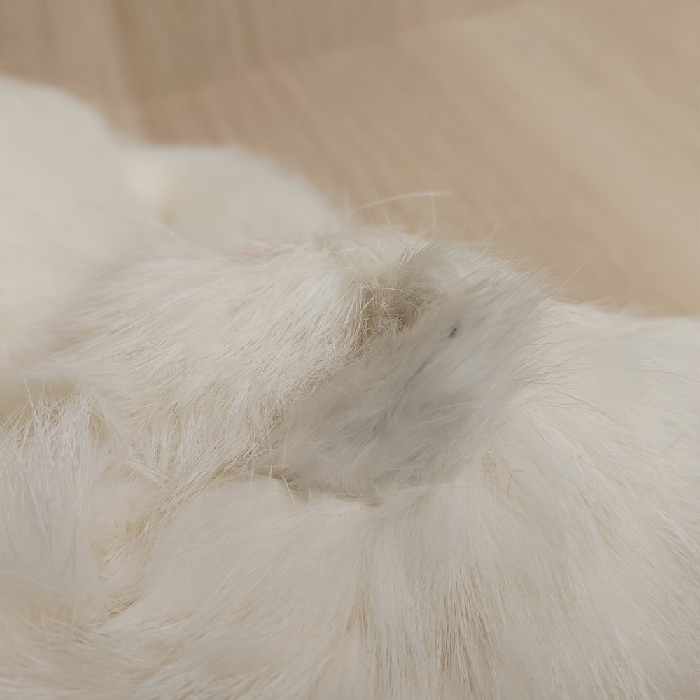 Realistic Cat White Sleeping Curled Up Rabbit/Goat Fur