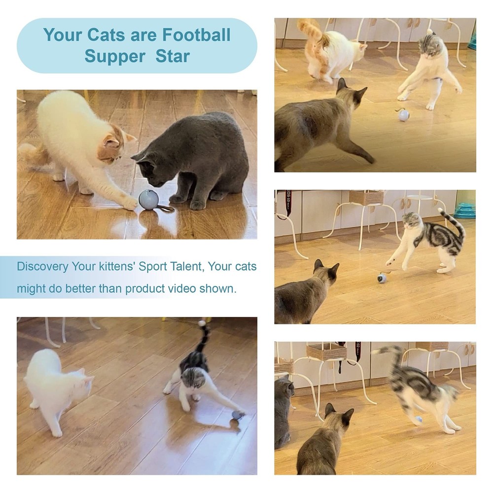 Migipaws Interactive Cat Ball Toy Set, Fun Tracker, Automatic Rolling Chase B...