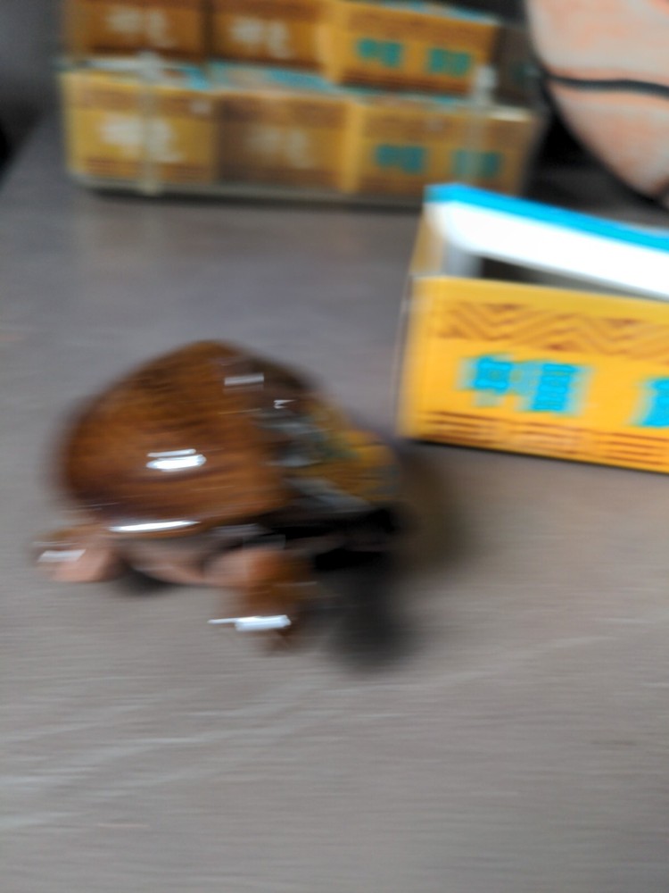 Ceramic Turtle Wiggling Head And Feet
