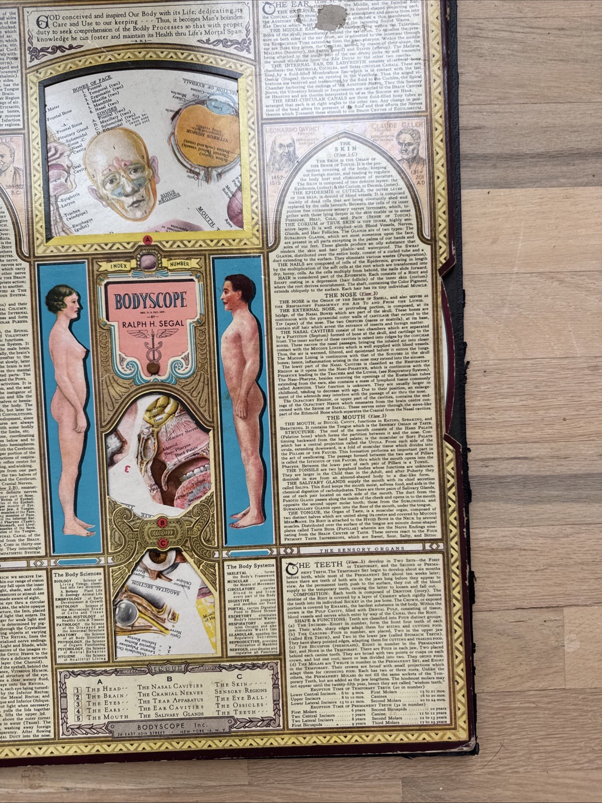 Bodyscope by Ralph H. Segal Human Anatomy Medical Chart and Case 1948 Flaws