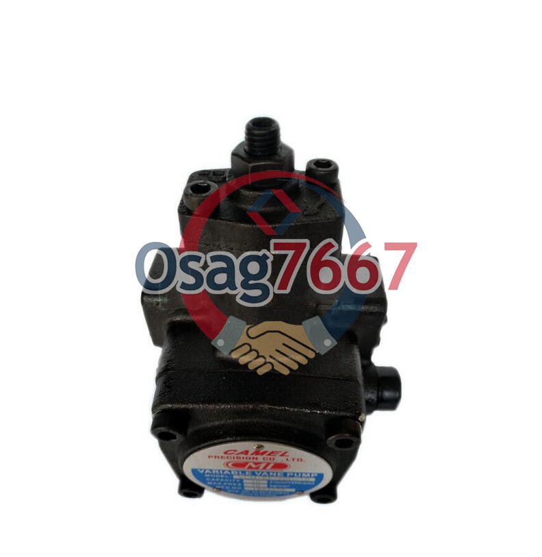 1PCS NEW CML hydraulic variable vane pump VCM-SF-20D-10