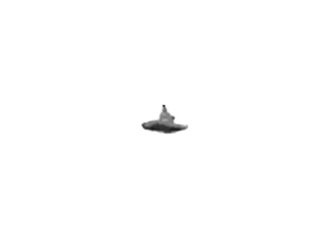 Genuine Ford Visor Cap DS7Z-4273-AA