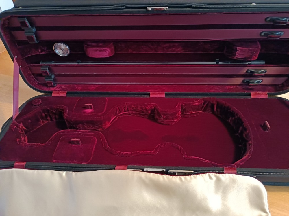 Zeta Acoustic Pro Violin