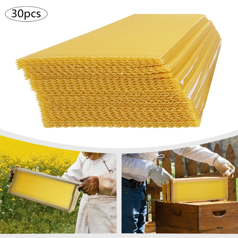 30 Pack Beeswax Sheets Beekeeping Foundation for Hive Honeycomb Building