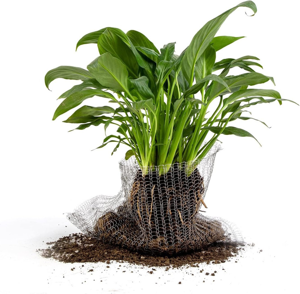 5 Pcs 5 Gallon Root Guard Gopher Proof Wire Basket Mole and Vole Mesh Wire Baske