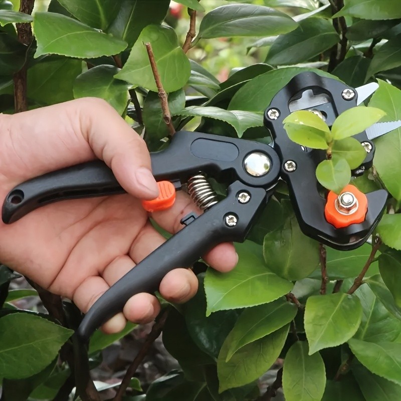 Grafting Tool Kit - Precision for Garden Plant Grafting