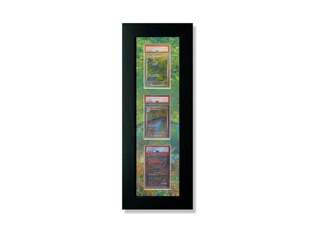 Ridanco 3 PSA Extended Art Print 151 Grass Starter Evolutions Graded Card Frame