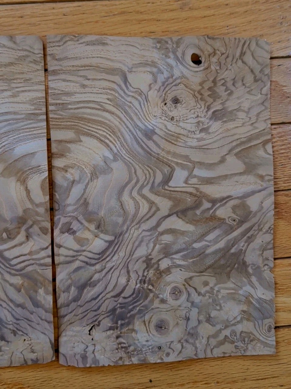 Olive Ash Burl veneer 2 pcs 10 1/4" x 7" ea raw 1/42 wood Buckled lil crack