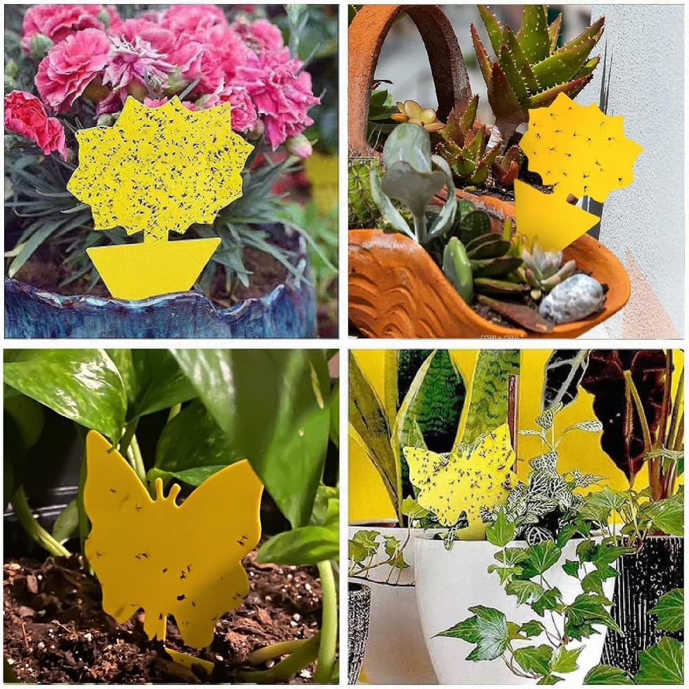 58 Pack Insect Traps - Non-Toxic Sticky Solution for Plants & Home