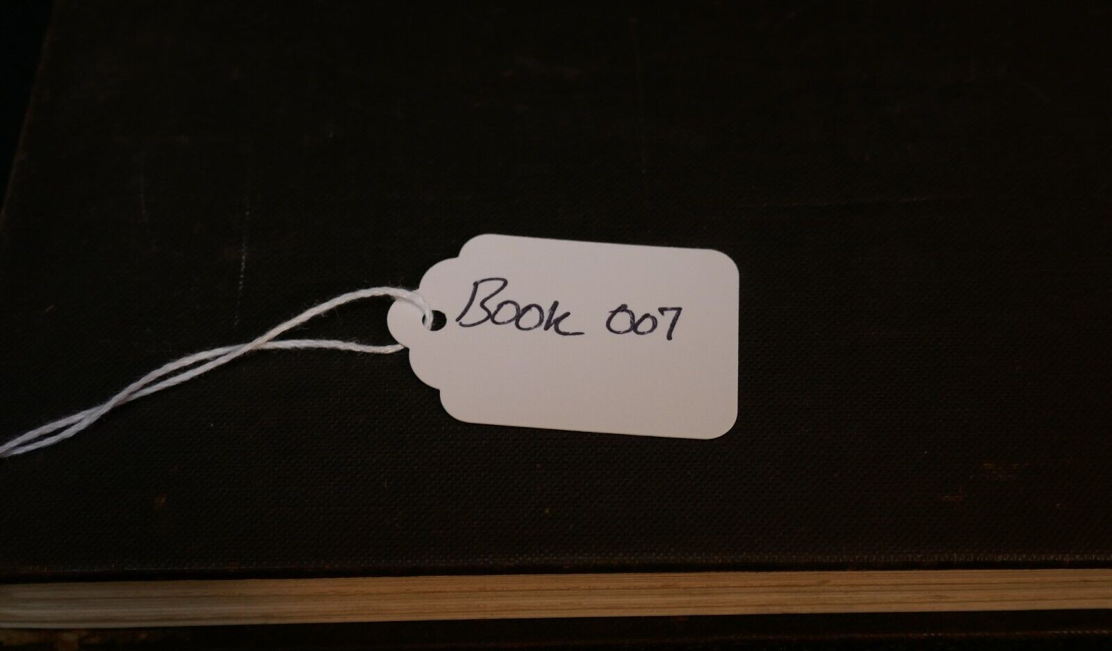 WWI Army Book History of The 77th Division 1919 First Ed Mess Sergeant H.W. DANN