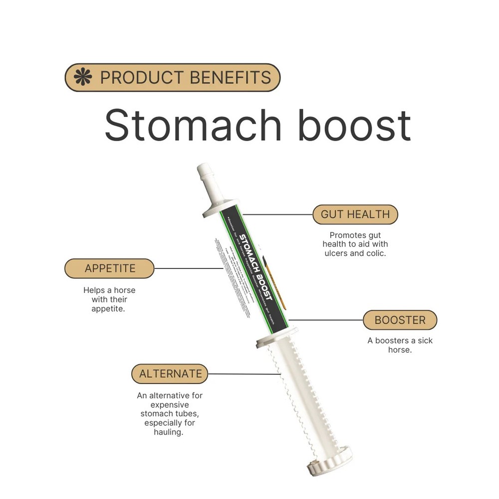 NEX-GEN STOMACH BOOST 80 CC