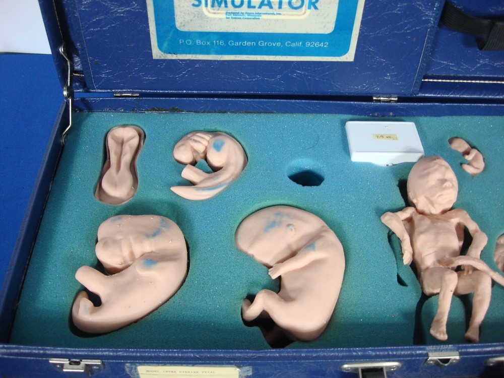 Vintage Trainex Fetal Development Trainer