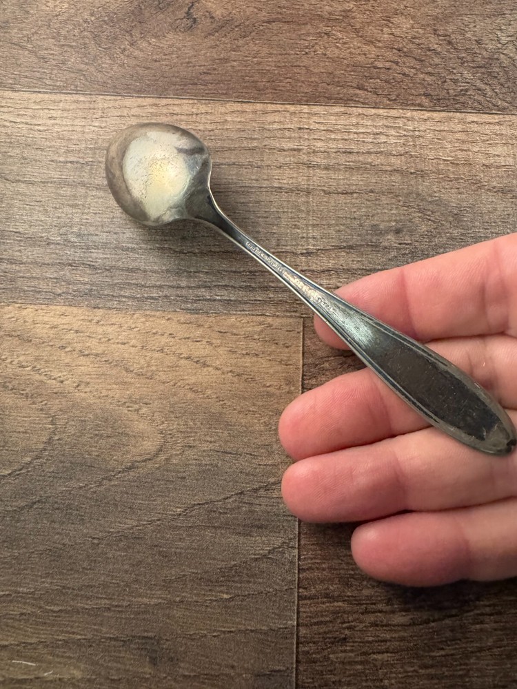 Oneida Community Par Plate Silverplated Teaspoon