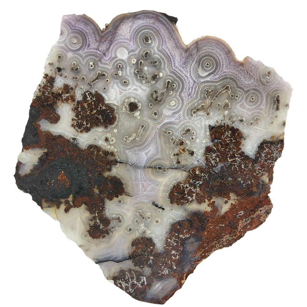 Laguna Agate, large slab, cabbing rough, #R-6957