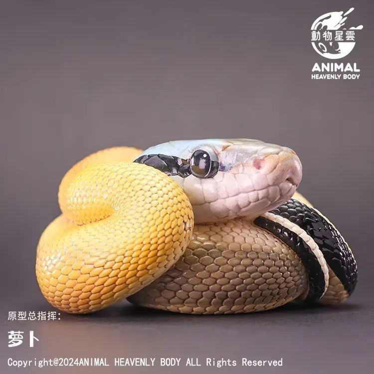 Animal Heavenly Body Cave-dwelling Beauty Snake Statue Elaphe taeniura Malaysian
