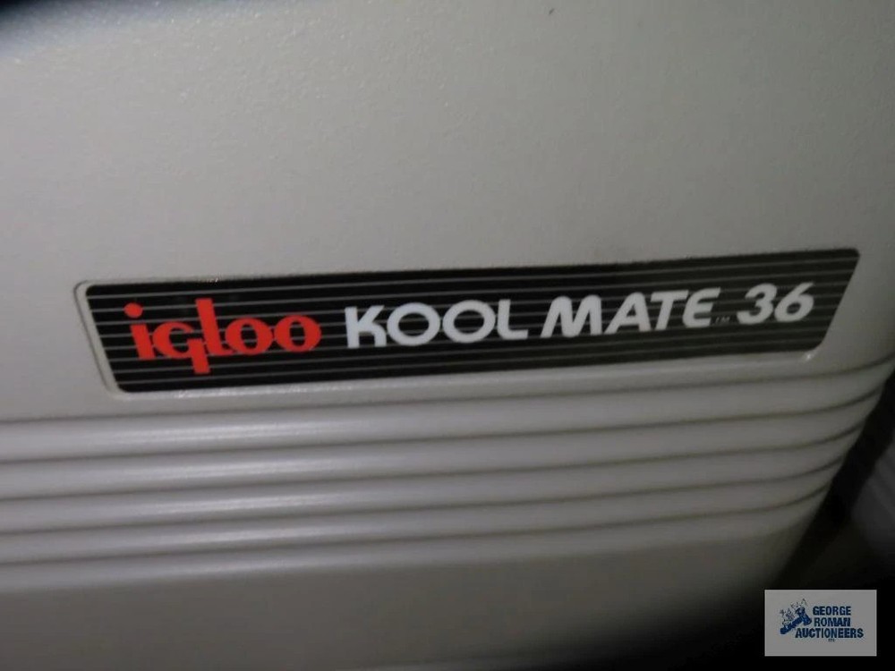 Igloo Electric Koolmate 36