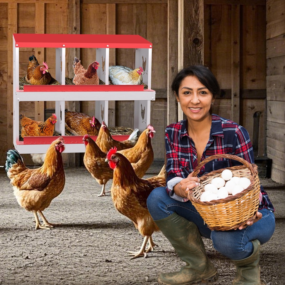 6 Holes Chicken Nesting Box, Metal Chicken Nesting Boxes, with Bracket Legs