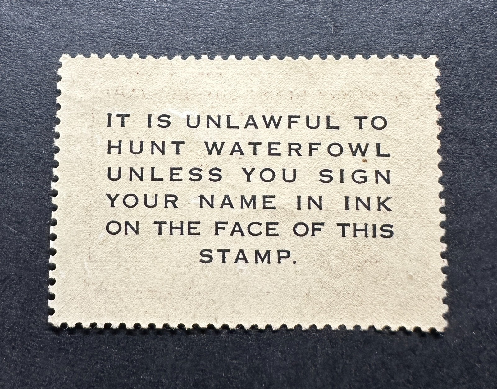 WTDstamps - #RW13 1946 - US Federal Duck Stamp - Mint OG NH ***WELL CENTERED***