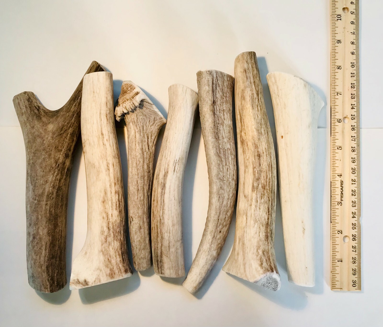 BEST VALUE! 2 POUNDS of Seasoned Elk/Deer Whole Antler Dog Chews -MEDIUM & LARGE