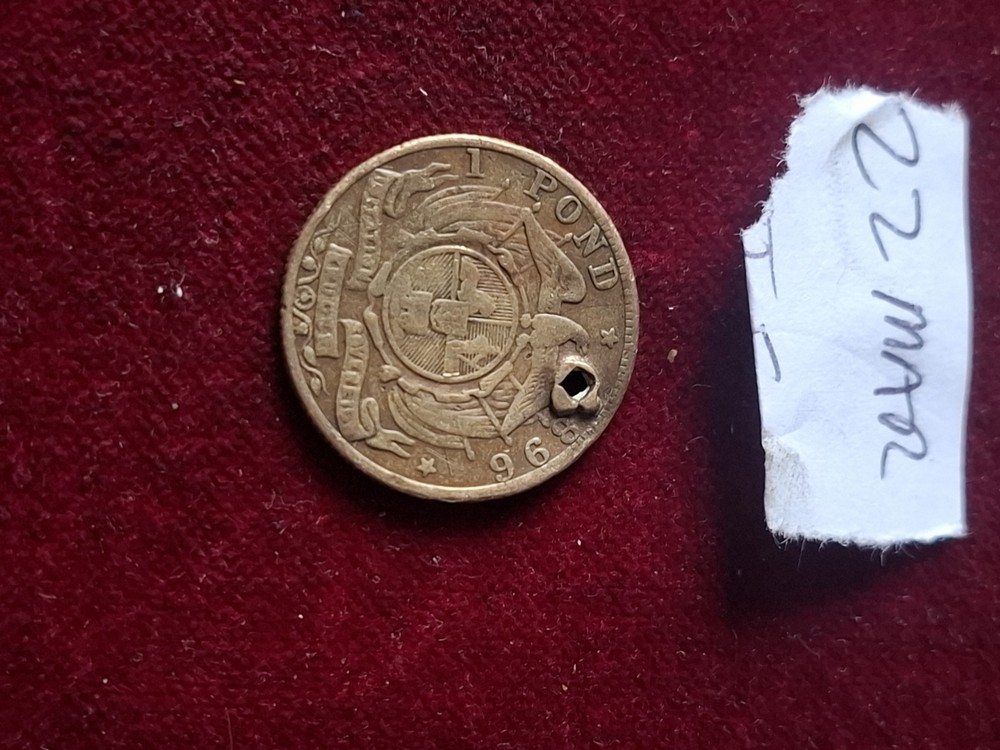 Zuid Afrikaans One Pond Token