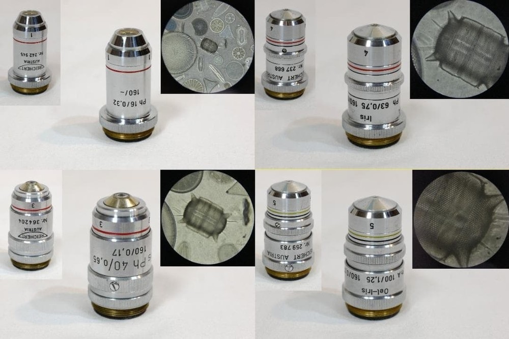 Carl Reichert's phase contrast microscope (BIOZET)