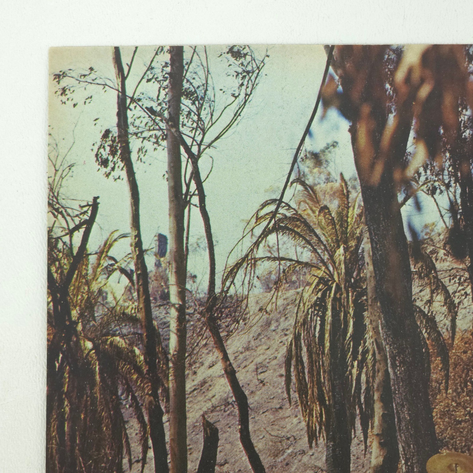 Vintage Dodge Van Custom Print Ad 1971 Advertising Garage Wall Art Promotional