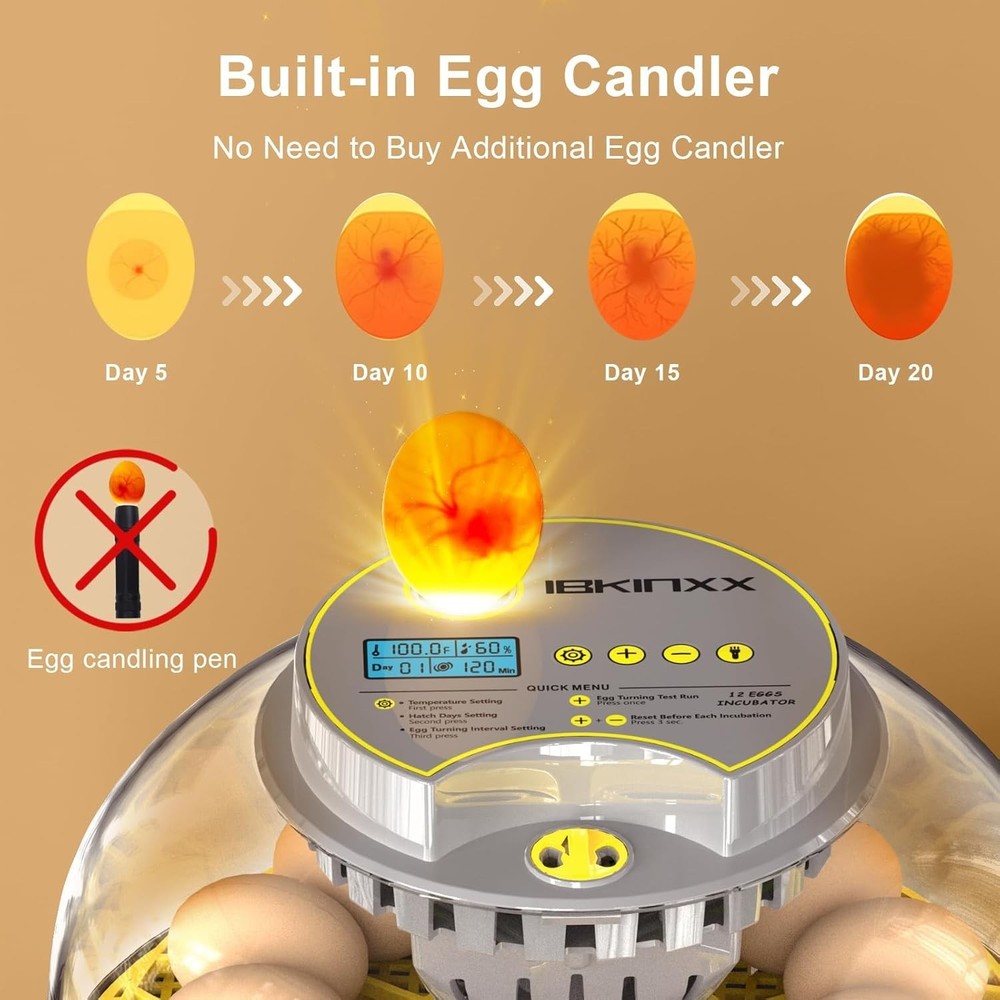 Incubator for Hatching Eggs-12 Egg Capacity, 2026 Newly Upgraded Automatic Eg...