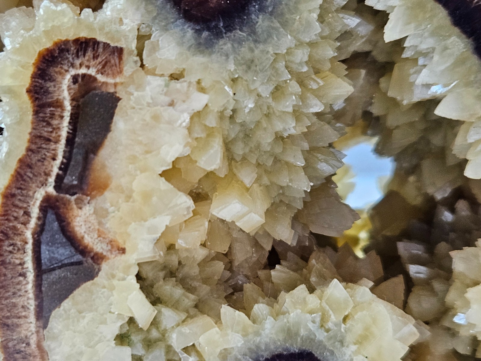 Septarian Nodule Geode Buffalo Bison Carved Natural Stone Crystal Zuni Decor 6"