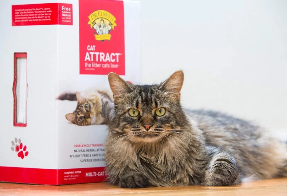 Dr. Elsey's Precious Cat Attract Problem Cat Training Litter - 20 pound box