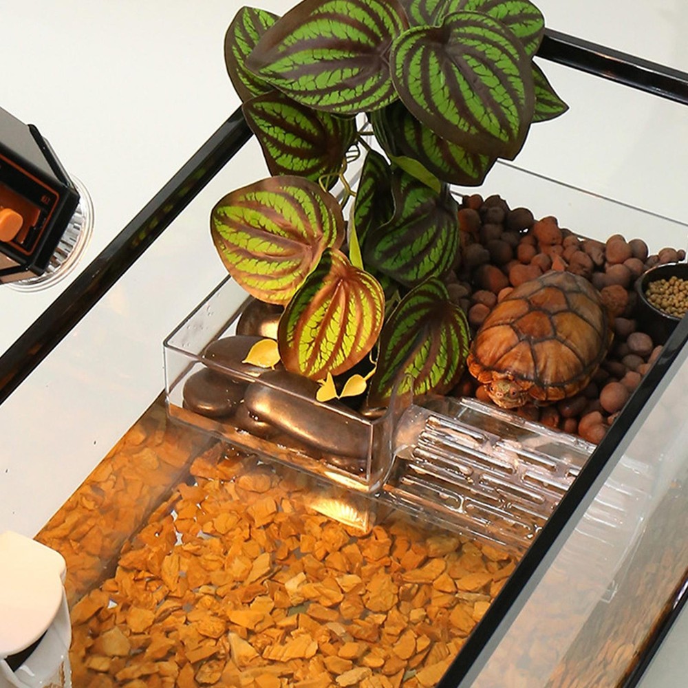 Fish Tank Platform Turtle Basking Dock Turtle Basking Area Reptile Platform