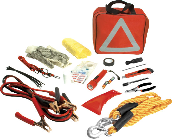 Auto Parent - Performance Tool W1555 Deluxe Roadside Emergency Assistance Kit...