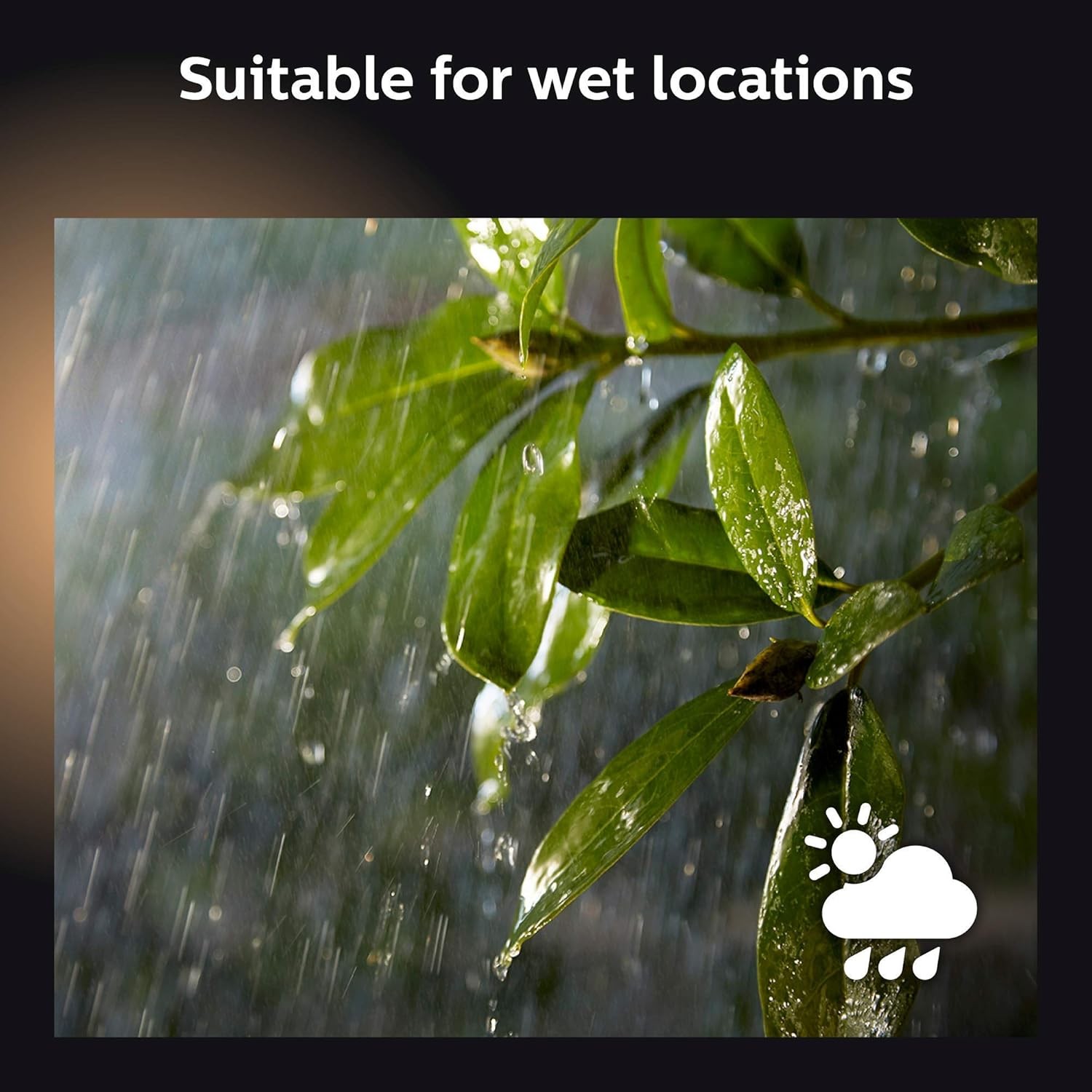 Philips Hue White & Color Ambiance 16 Ft Outdoor Shape Smart Light Strip