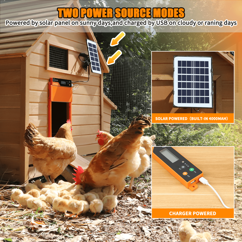 Auto Chicken Coop Door Solar Powered LCD Timer Light Remote Control Poultry Gate
