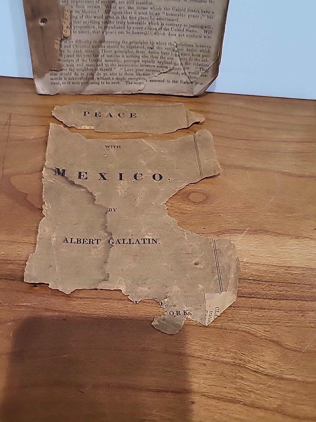 1847 First Edition Peace With Mexico Albert Gallatin ANTI-WAR Annexation Texas