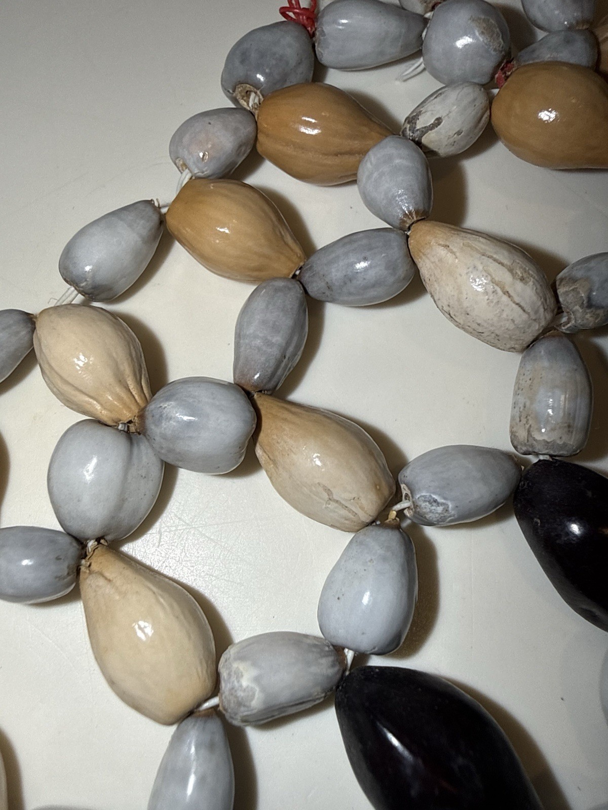 Middle Sepik Shells & Seeds Chest Ornament - Oceanic Art Jewelry USA Locale 14”R