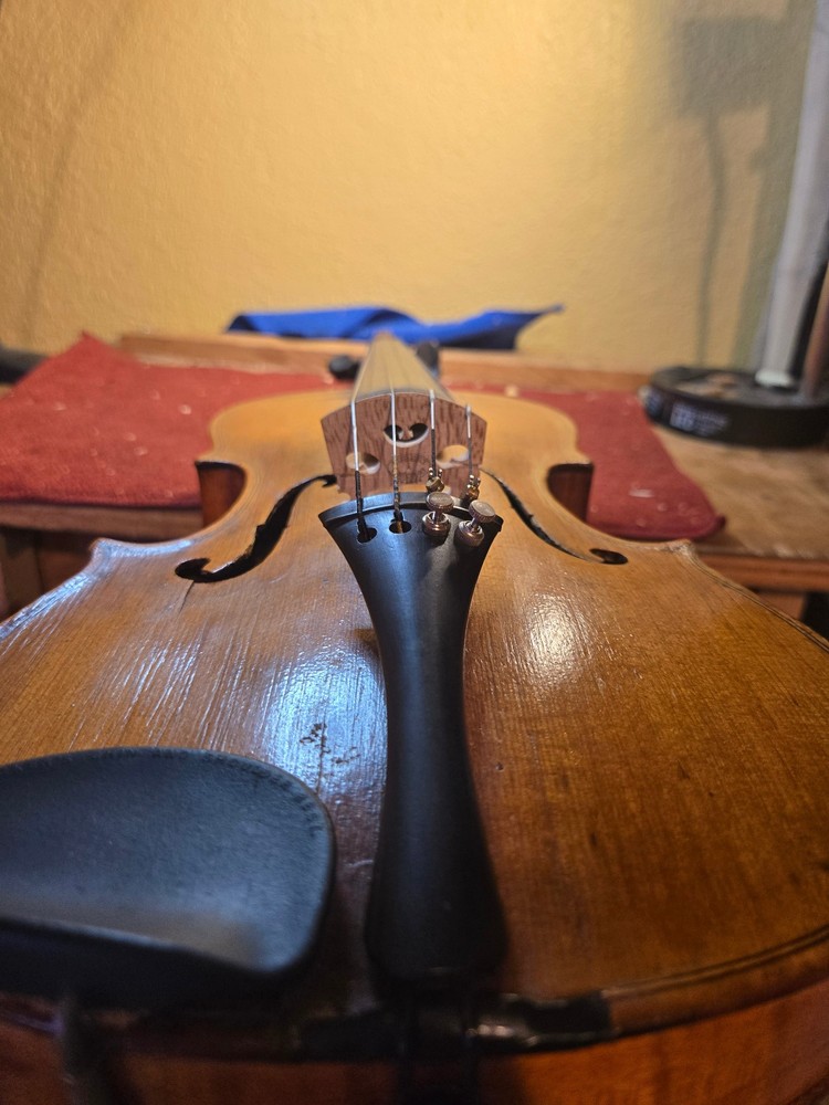 violin mathias ebier 1880