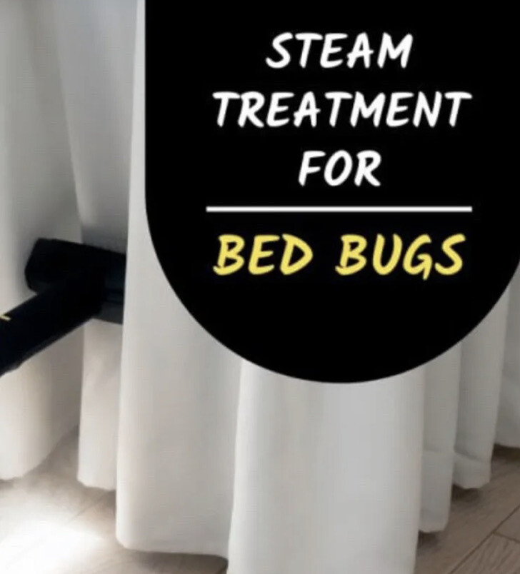 Bed Bug Steamer Kill Bed Bugs & Eggs Kills Easy Fast Non Toxic Child Safe Method