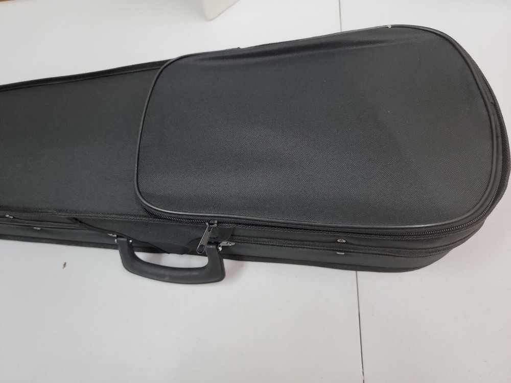 A-Style Microgroove Pattern Mandolin 3/4 Case Black green lining