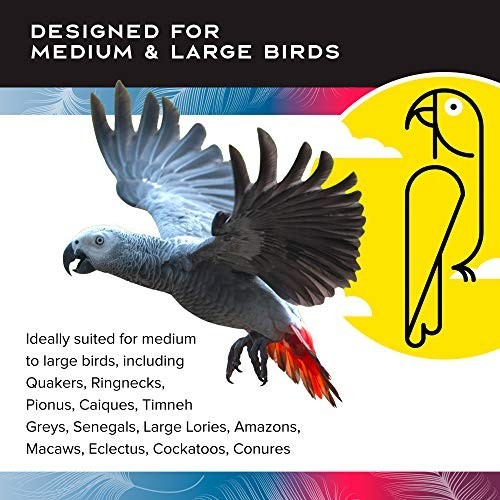 Extra Large Interactive Bird Feeder - Creative Foraging Wheel for Large Birds -