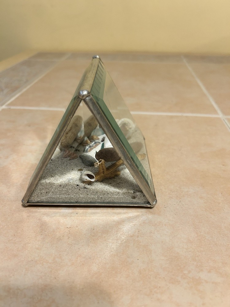 Ocean Sea shells Looking Glass Display Triangle