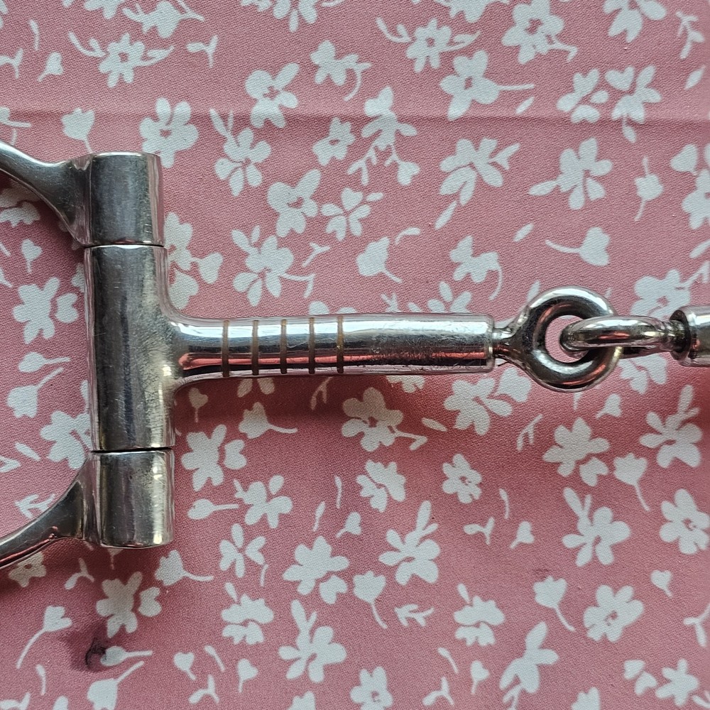 Robart Pinchless Bit Offset D Ring Snaffle Horse