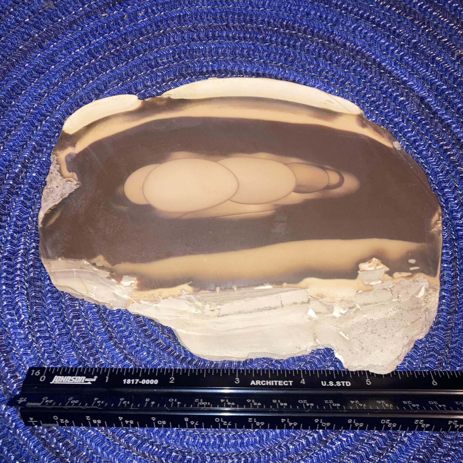 Bruneau Jasper Large Slab-Brown Tones With Cream Edges-Beautiful Orbs 6.1oz/173g