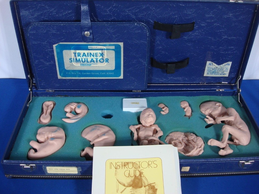 Vintage Trainex Fetal Development Trainer