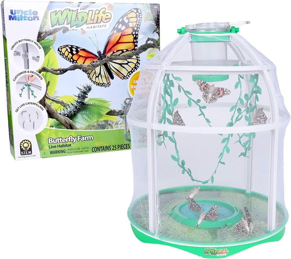 Observe Caterpillars Become Butterflies