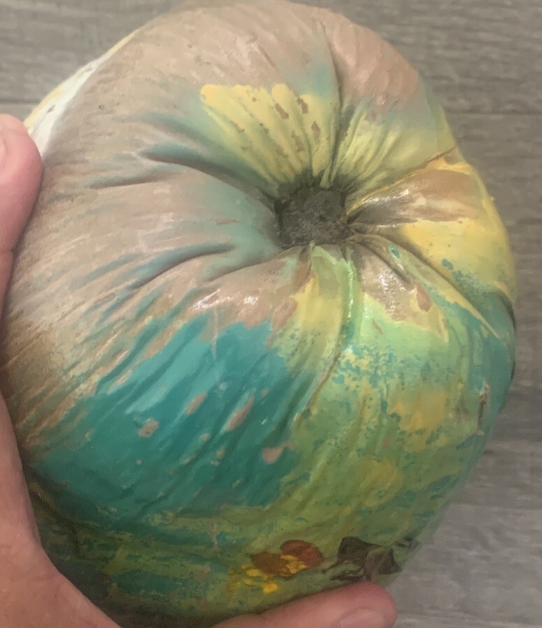 Hand Painted Coconut "key West 1998"