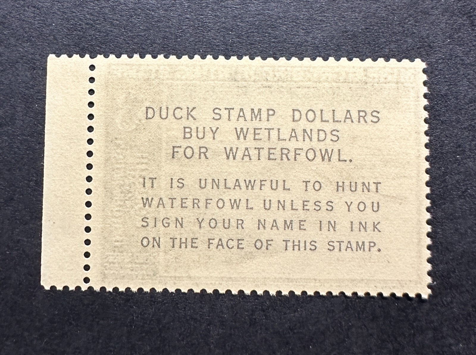 WTDstamps - #RW34 1967 - US Federal Duck Stamp - Mint OG NH