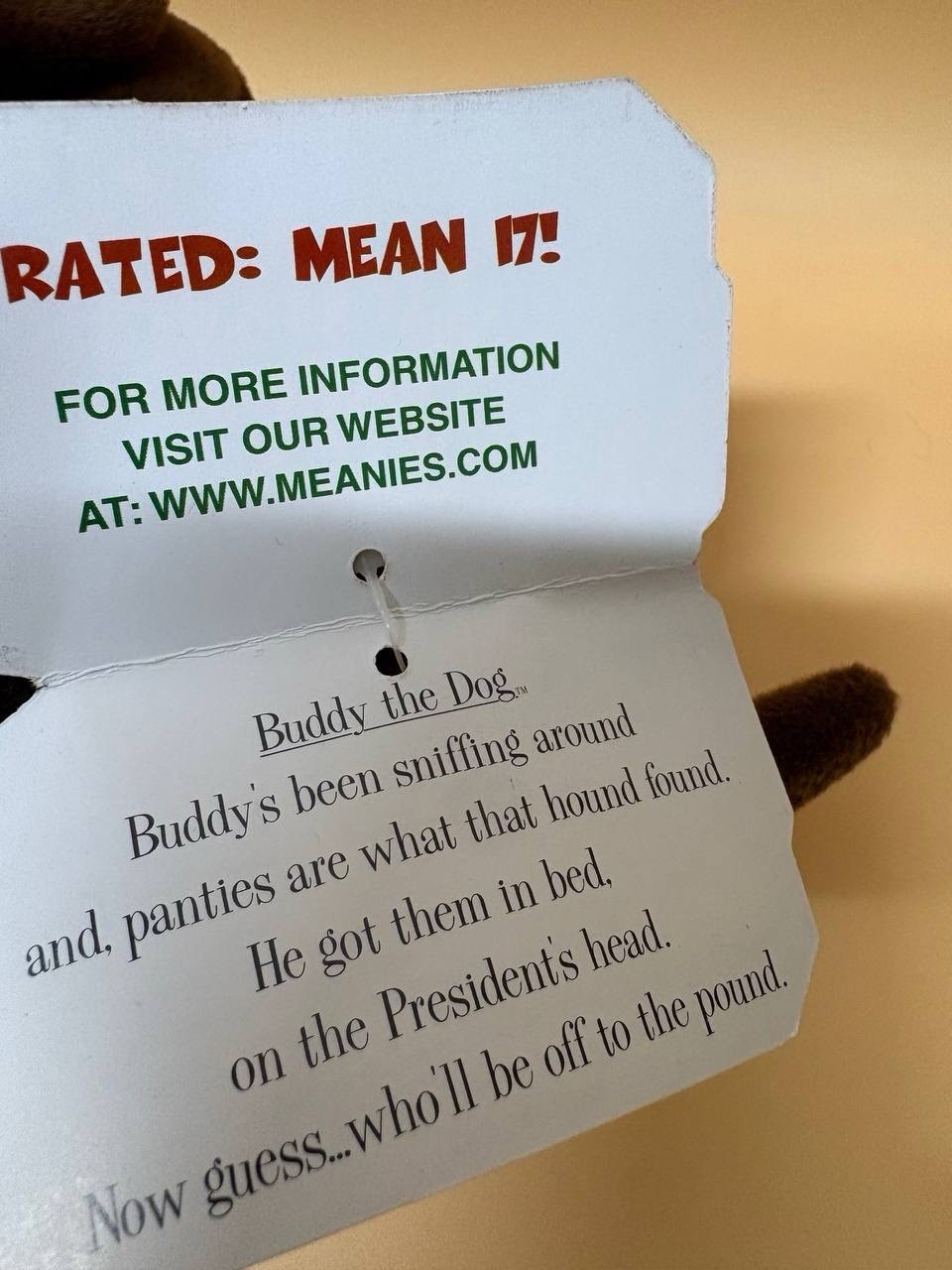 VINTAGE 1997-1998 INFAMOUS MEANIES SERIES 1- BUDDY THE DOG PUPPY 6”