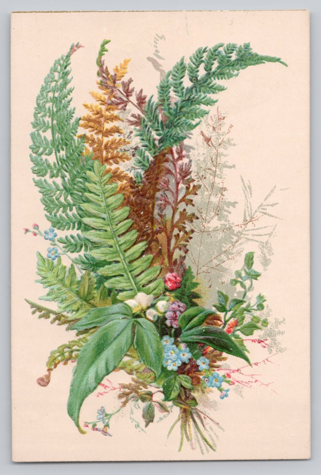 Victorian Card Lovely Fern & Flowers Embossed